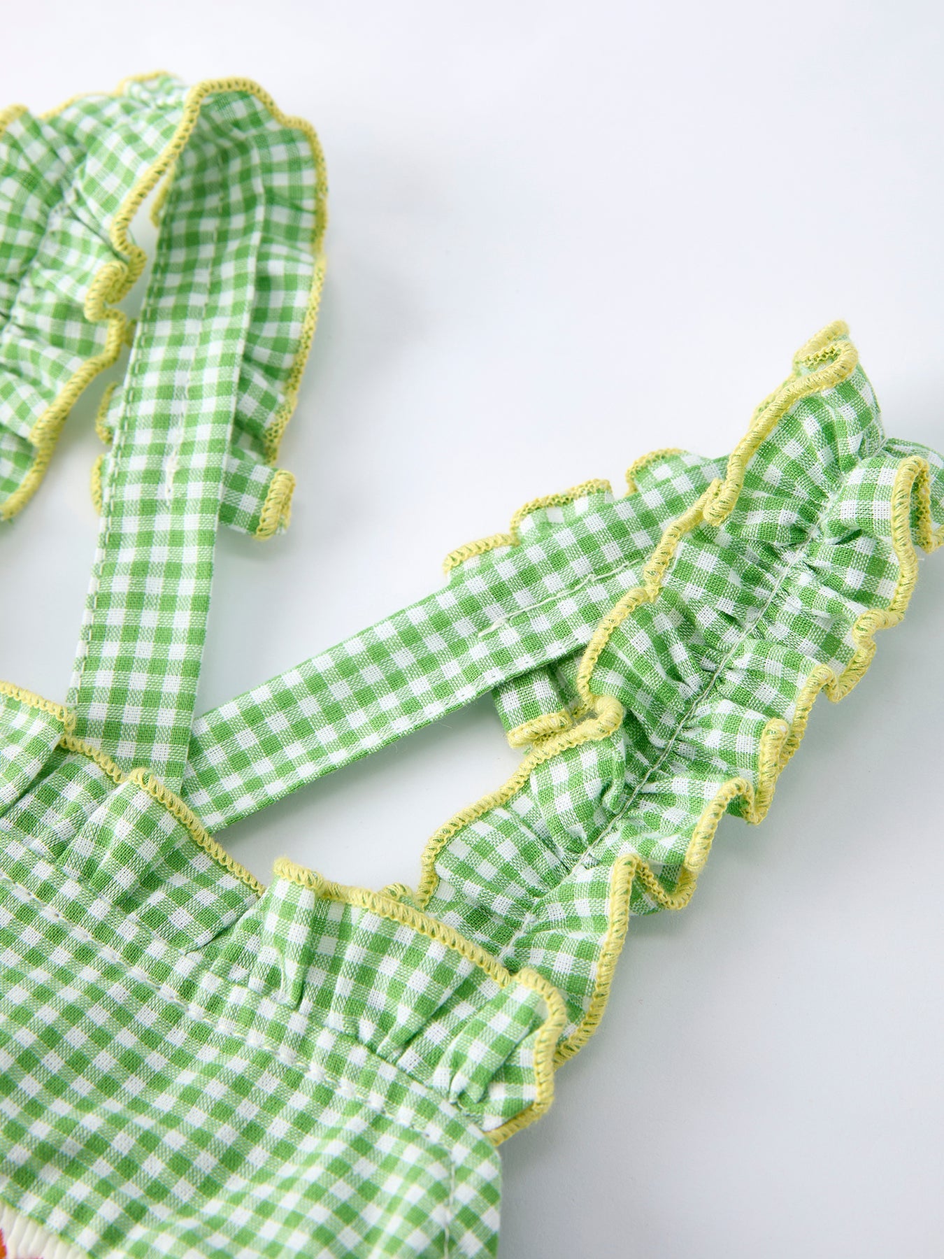 Spring Turtle Smocked Baby Girls Dress