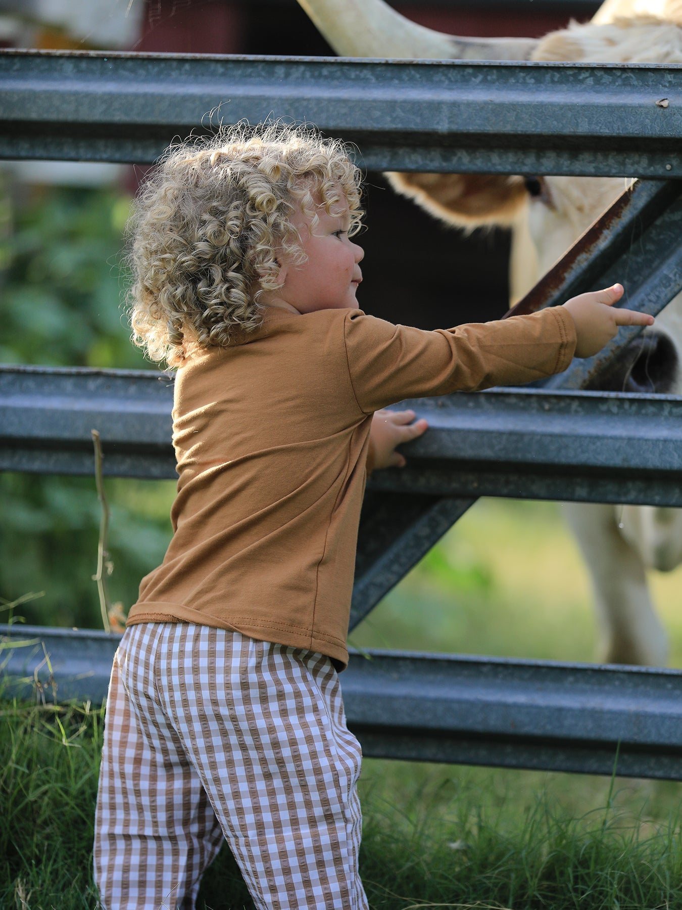 Fall Boys Thanksgiving Smocking Embroidered Brown Plaid Outfit Set
