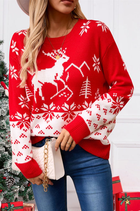 Angel Wings Deer Pattern Round Neck Long Sleeve Sweater - S. M. & Co.