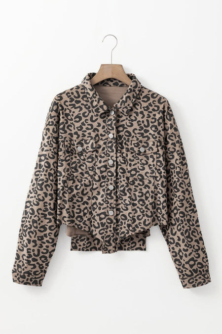 Asymmetrical Hem Collared Neck Leopard Jacket - S. M. & Co.