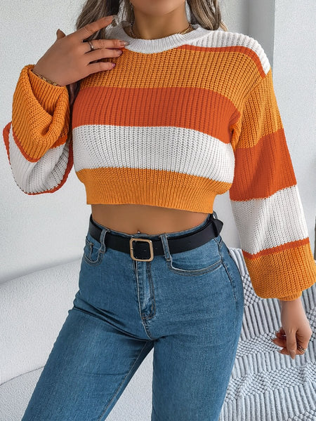 Color Block Round Neck Cropped Sweater - S. M. & Co.