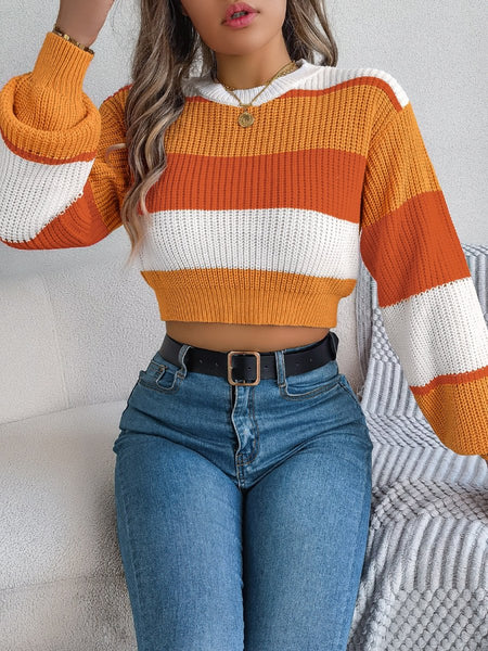 Color Block Round Neck Cropped Sweater - S. M. & Co.