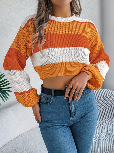 Color Block Round Neck Cropped Sweater - S. M. & Co.