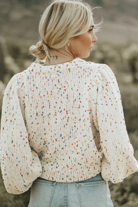 Confetti Round Neck Long Sleeve Sweater - S. M. & Co.