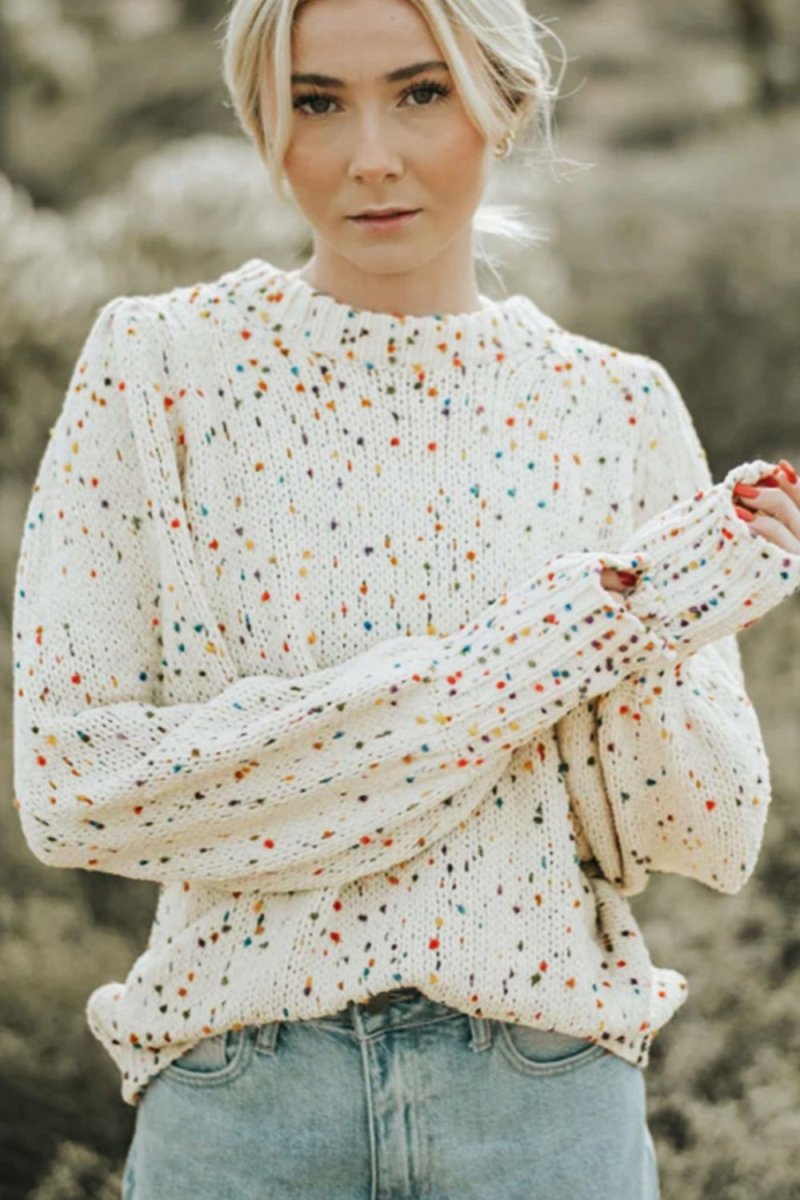 Confetti Round Neck Long Sleeve Sweater - S. M. & Co.