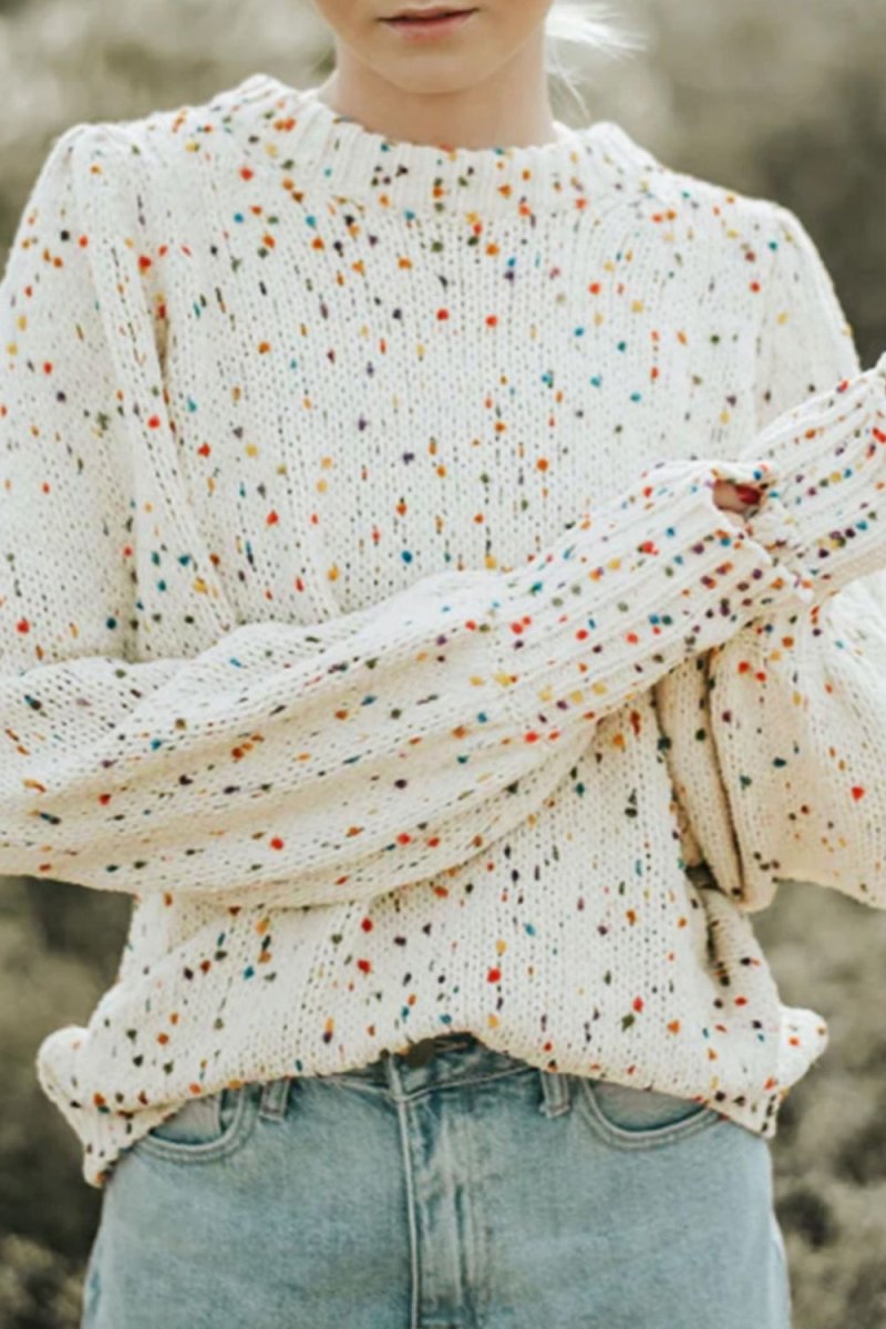 Confetti Round Neck Long Sleeve Sweater - S. M. & Co.