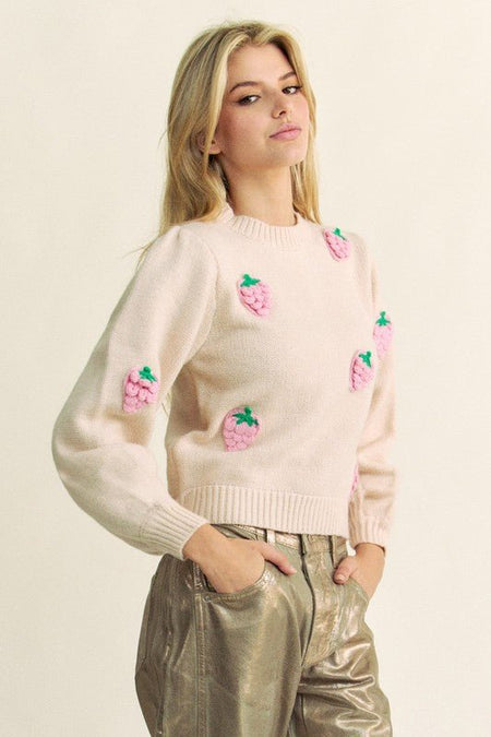 Davi & Dani Crochet Strawberry Round Neck Sweater - S. M. & Co.