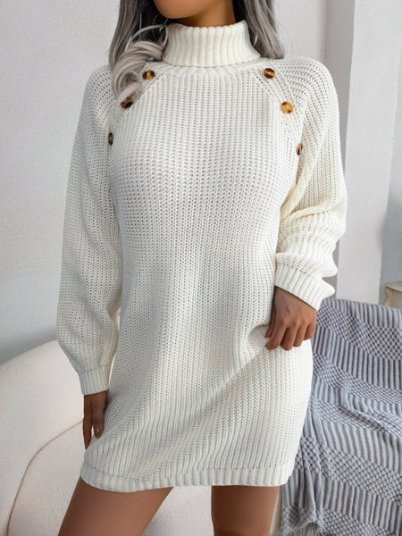 Decorative Button Turtleneck Sweater Dress - S. M. & Co.