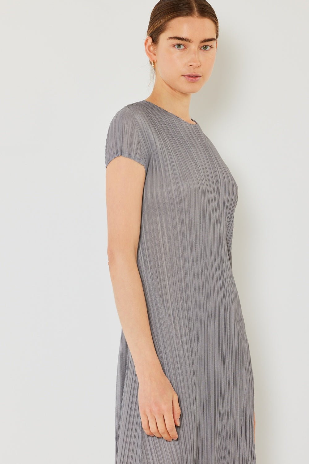 Marina West Swim Pleated Cap Sleeve A-Line Dress - AnAs Market