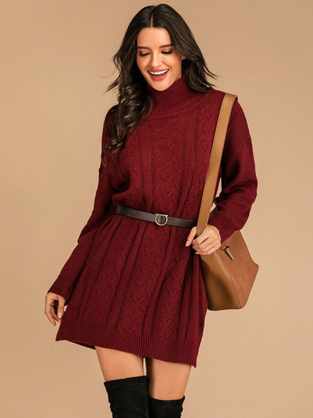 Perfee Slit Turtleneck Long Sleeve Mini Sweater Dress - S. M. & Co.