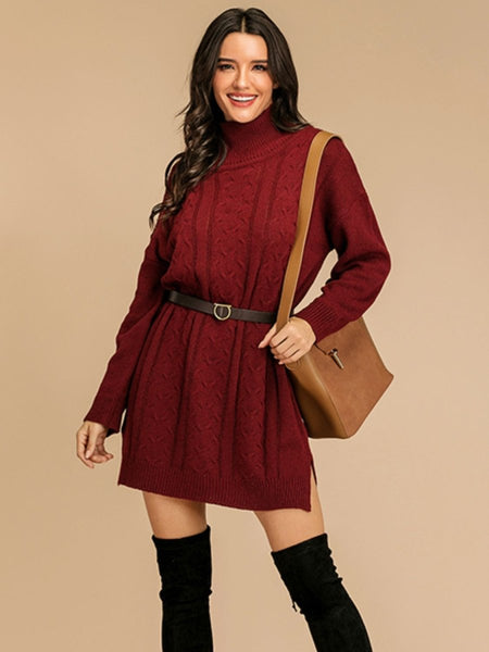 Perfee Slit Turtleneck Long Sleeve Mini Sweater Dress - S. M. & Co.