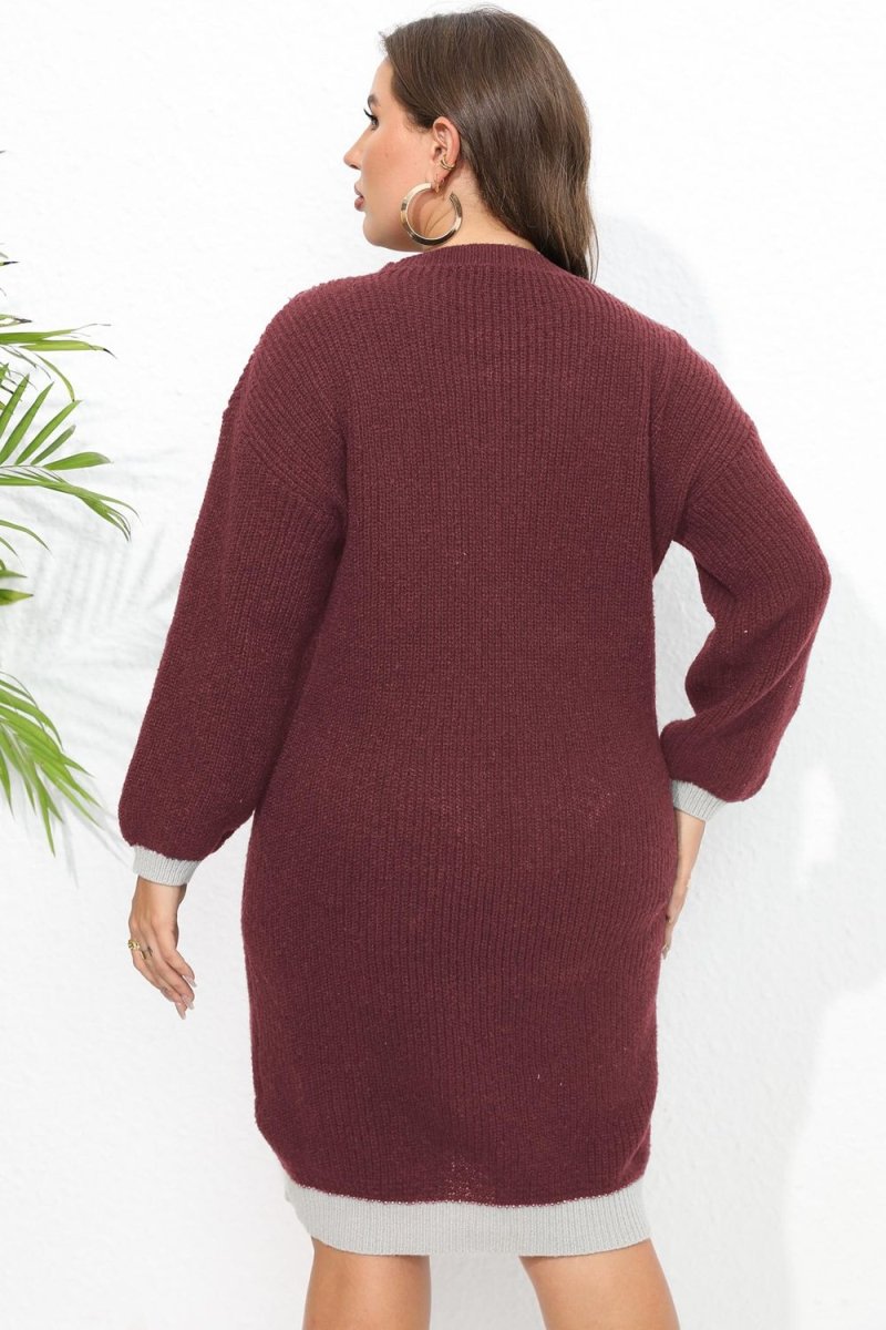 Plus Size Long Sleeve Sweater Dress - S. M. & Co.