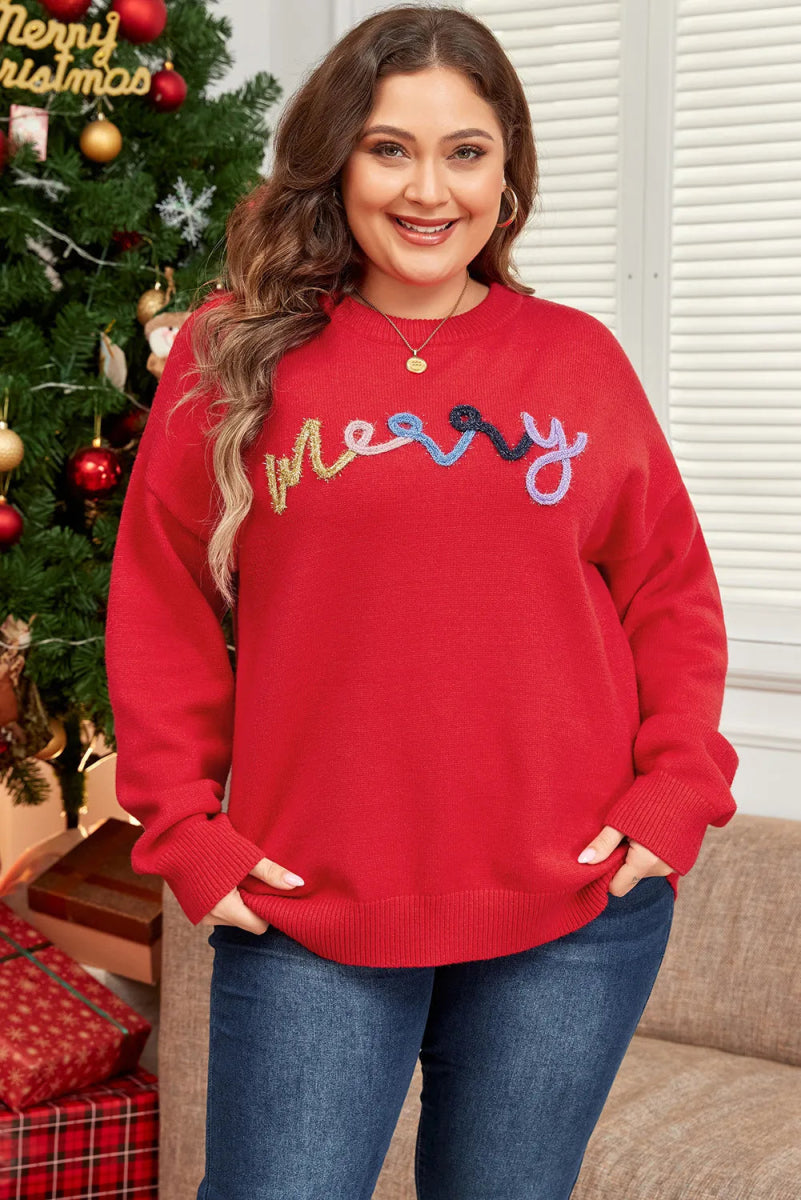 Plus Size MERRY Round Neck Long Sleeve Sweater - S. M. & Co.