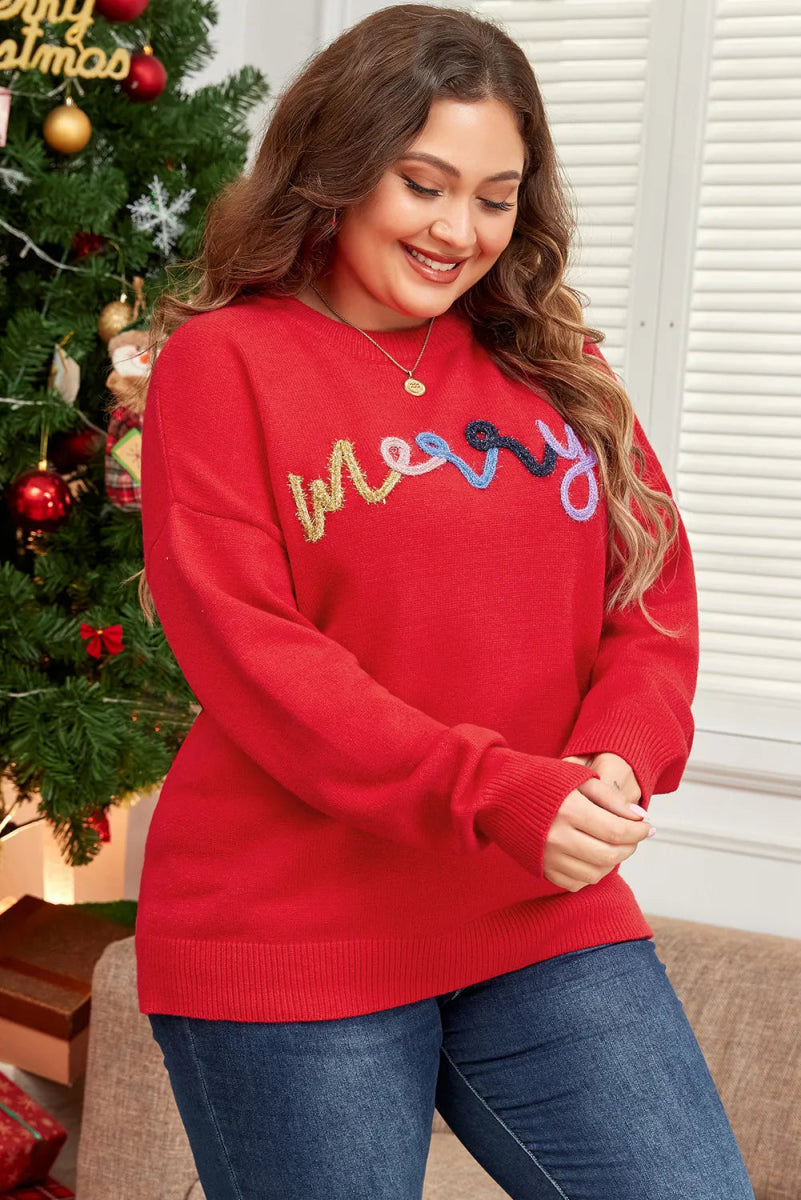 Plus Size MERRY Round Neck Long Sleeve Sweater - S. M. & Co.