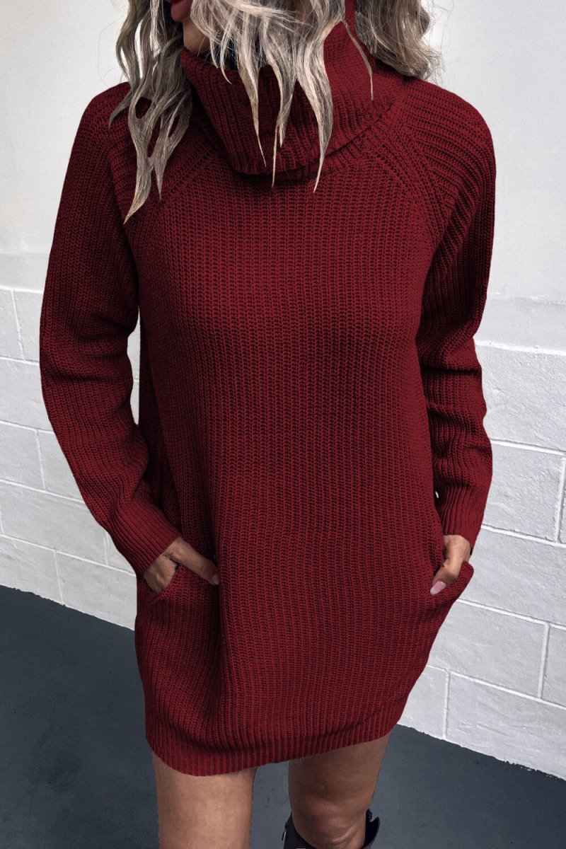 Turtleneck Sweater Dress with Pockets - S. M. & Co.