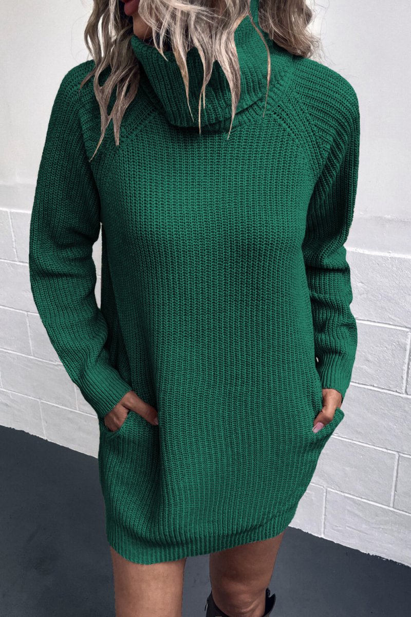 Turtleneck Sweater Dress with Pockets - S. M. & Co.