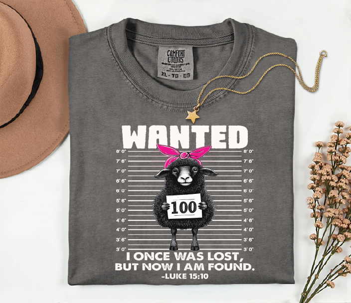 I Once Was Lost Now I'm Found Graphic Tee